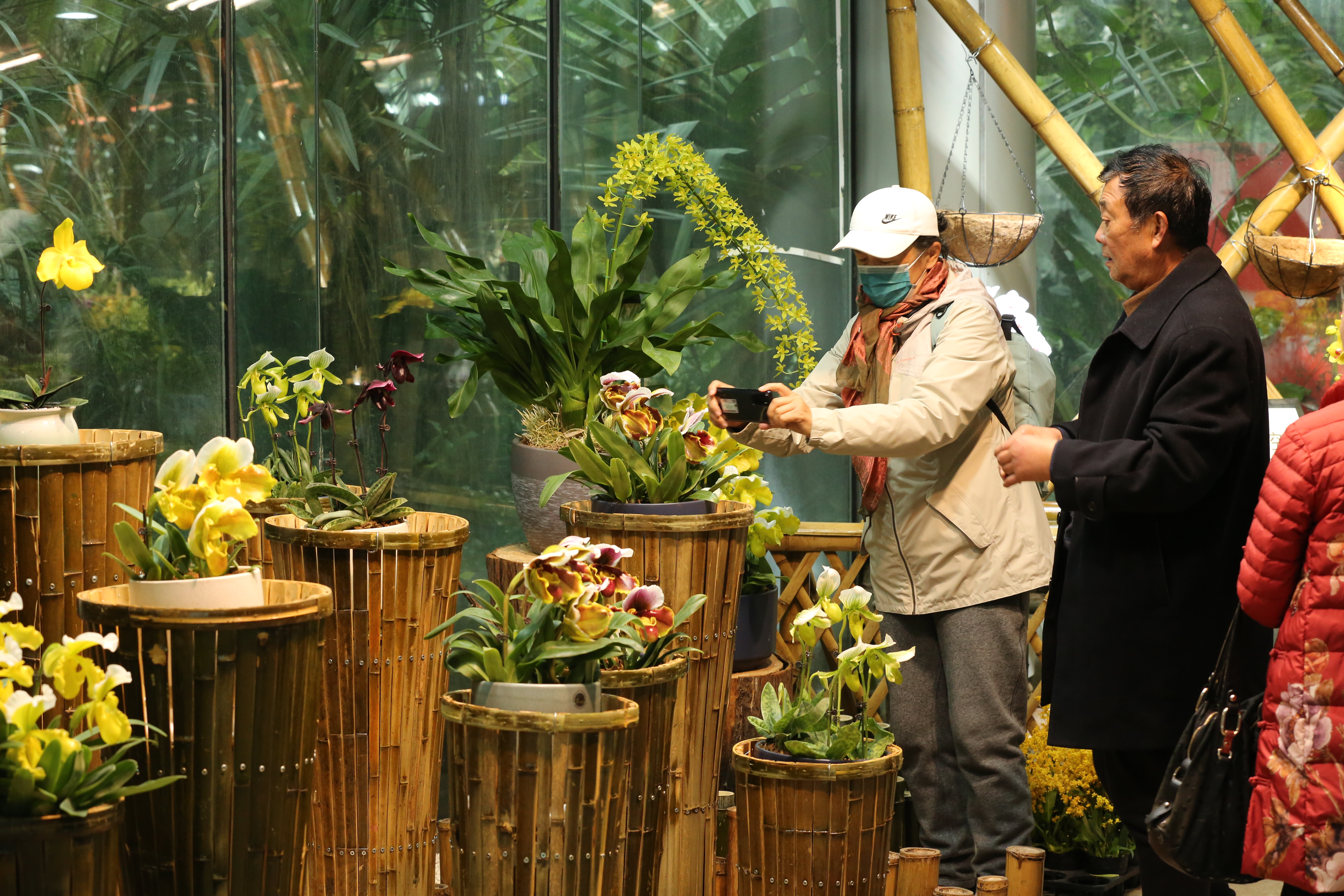 “中山兰语”第二届南京中山植物园兰花展