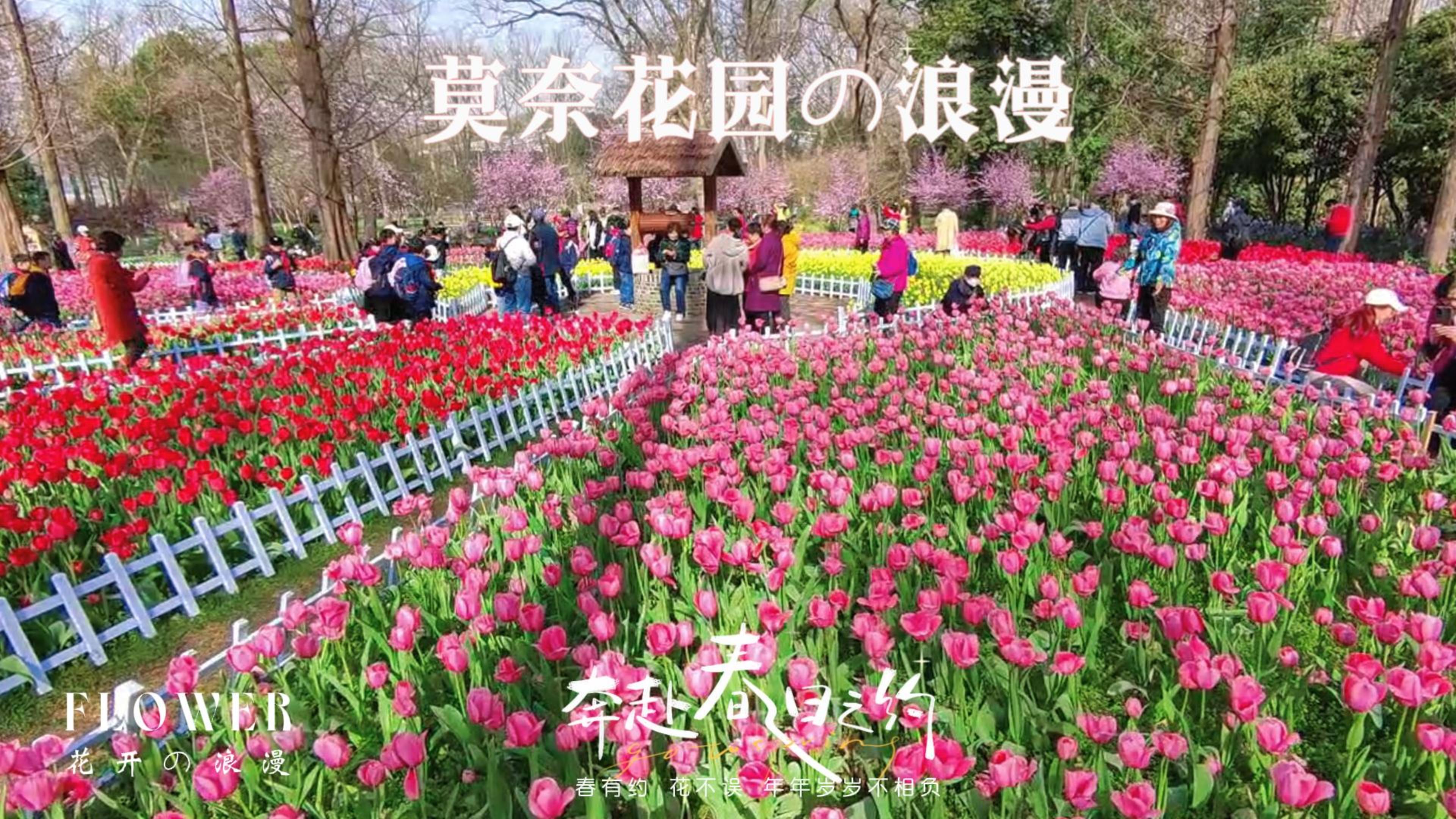 南京的“莫奈花园”上线了